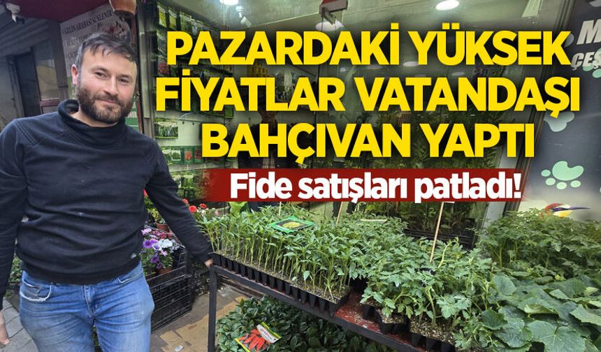 Pazardaki yüksek fiyatlar vatandaşı bahçıvan yaptı: Fide satışları patladı!