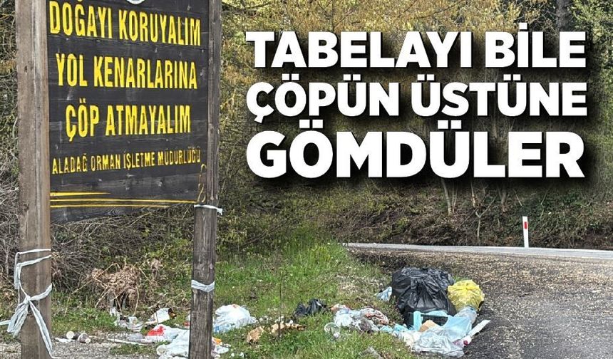 Bolu’da pes dedirten görüntü: Uyarı tabelası çöp oldu