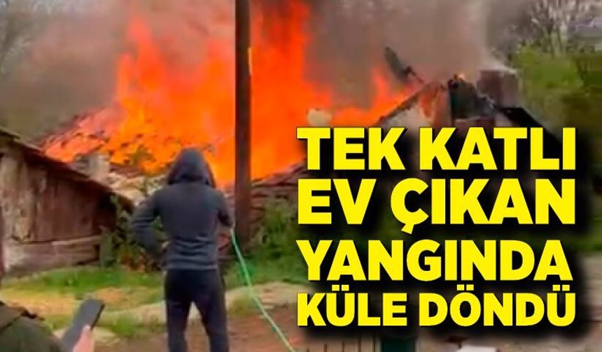 Tek katlı ev çıkan yangında küle döndü