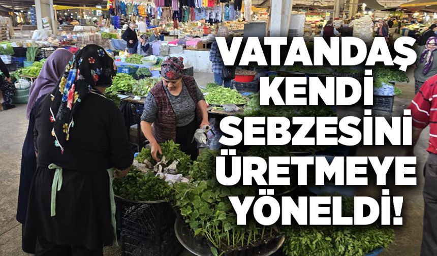 Vatandaş kendi sebzesini üretmeye yöneldi!