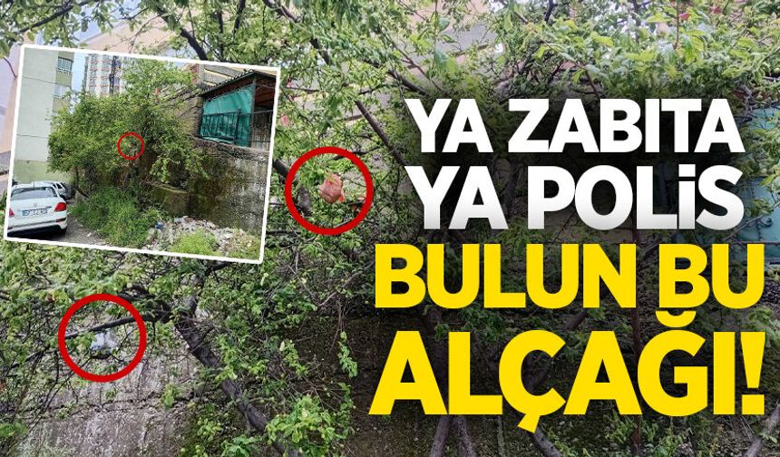 Ya zabıta, ya Polis: Bulun bu alçağı!