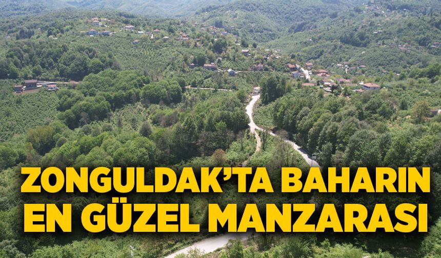 Zonguldak’ta baharın en güzel manzarası