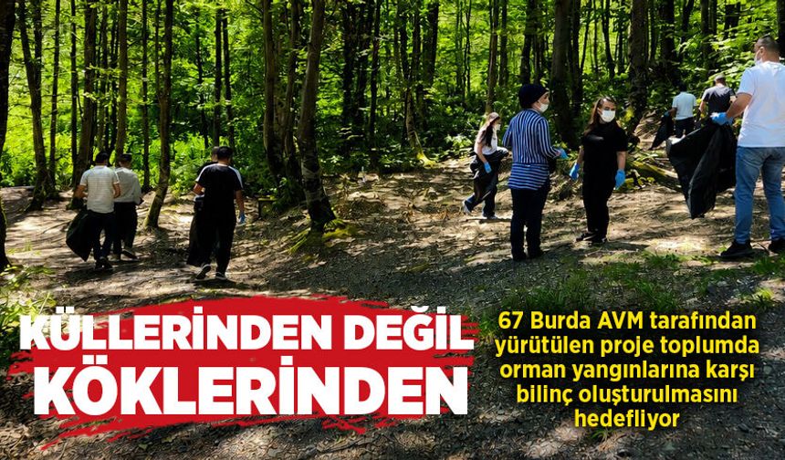 Küllerinden değil köklerinden