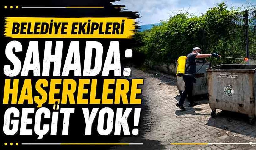 Belediye ekipleri sahada: Haşerelere geçit yok!