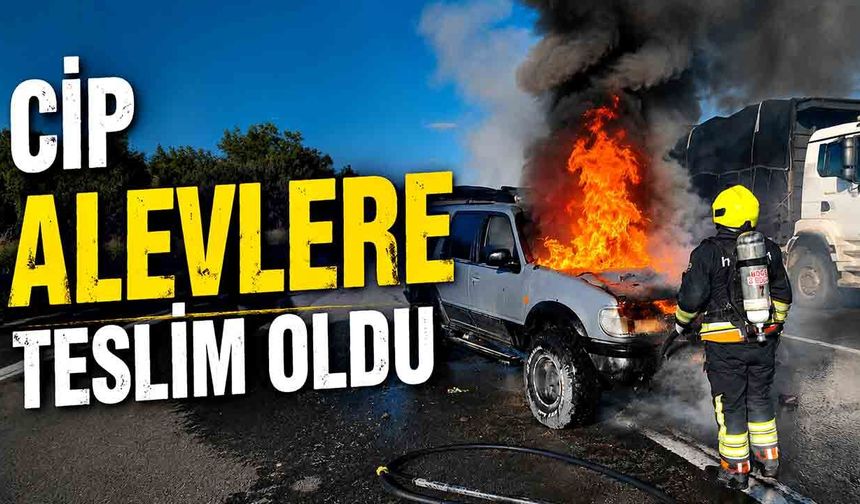 TEM Otoyolu’nda cip alevlere teslim oldu