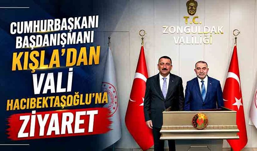 Cumhurbaşkanı Başdanışmanı Kışla’dan Vali Hacıbektaşoğlu’na ziyaret