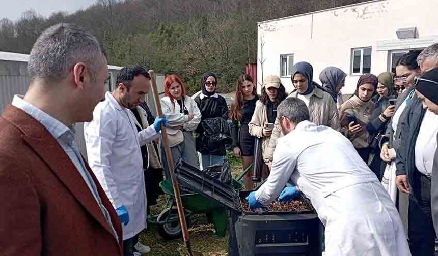 Düzce Üniversitesi’nden sıfır atıkta örnek projeler