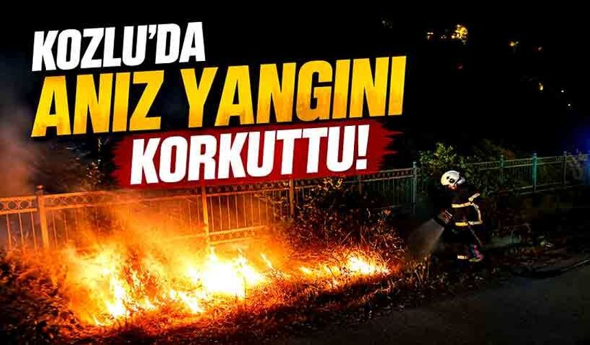 Kozlu'da anız yangını korkuttu! Ekipler yayılmadan kontrol altına aldı...