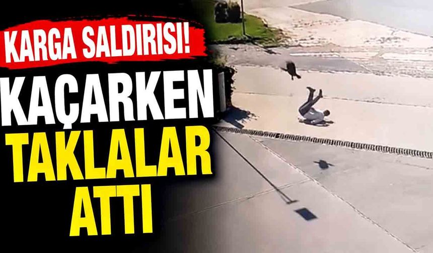 Kargadan Kaçarken Taklalar Attı! O Anlar Kamerada