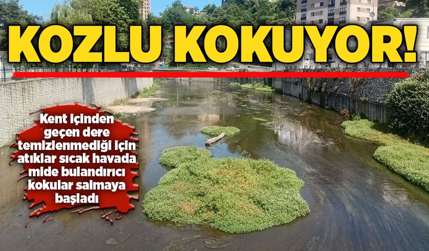 Kozlu kokuyor