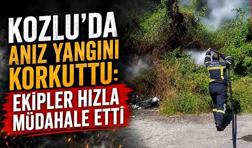 Kozlu'da anız yangını korkuttu: Ekipler hızla müdahale etti!
