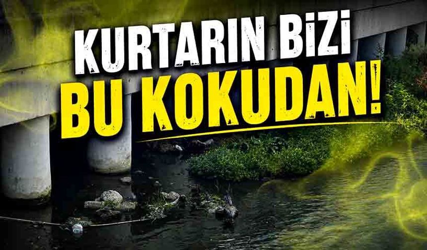 Kurtarın bizi bu kokudan!