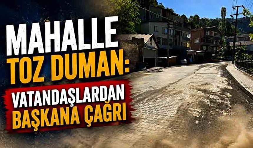 Mahalle toz duman: Vatandaşlardan başkana çağrı