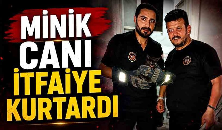Mahsur kalan yavru kediyi itfaiye ekipleri kurtardı