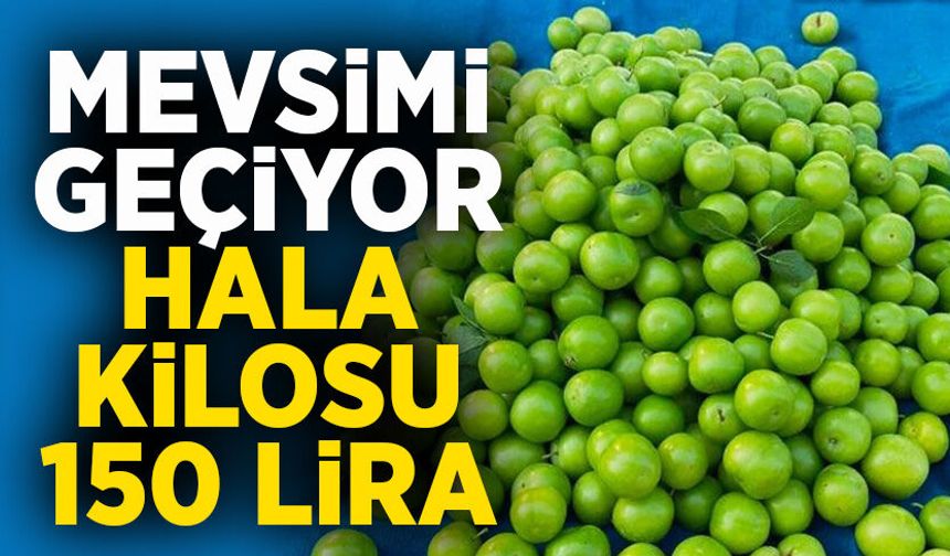 Mevsimi geçiyor, hala kilosu 150 lira