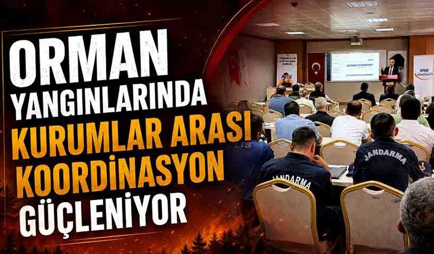Halil Oflu: "Orman yangınlarında kurumlar arası koordinasyon güçleniyor"