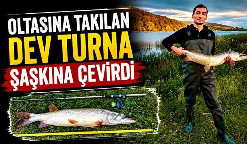Oltasına takılan dev turna şaşkına çevirdi