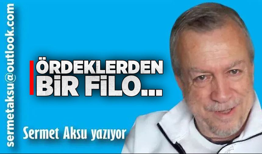 Ördeklerden bir filo…