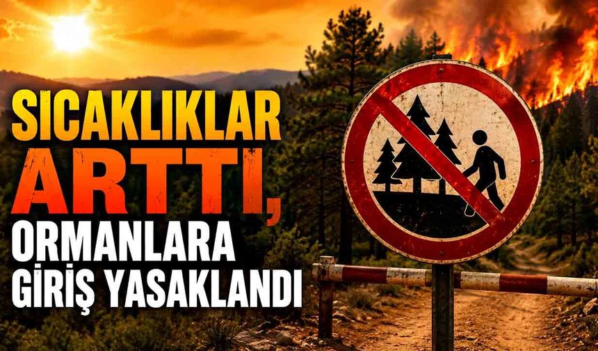 Sıcaklıklar arttı, ormanlara giriş yasaklandı