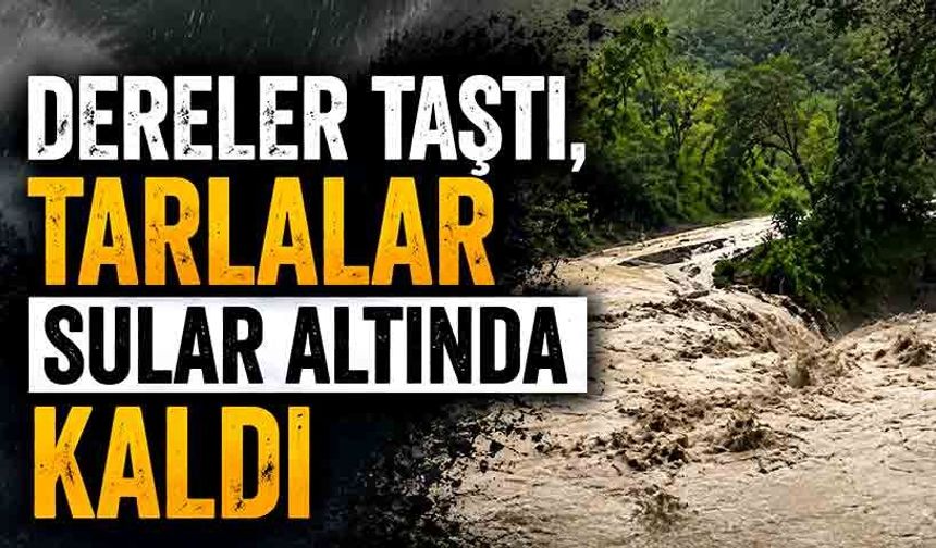 Sağanak Alarmı: Dereler Taştı, Tarlalar Sular Altında Kaldı