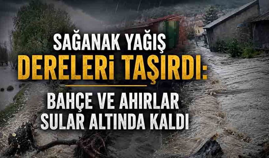 Sağanak yağış dereleri taşırdı: Bahçe ve ahırlar sular altında kaldı