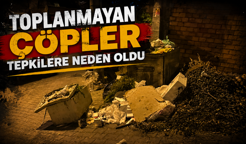 Toplanmayan çöpler tepkilere neden oldu
