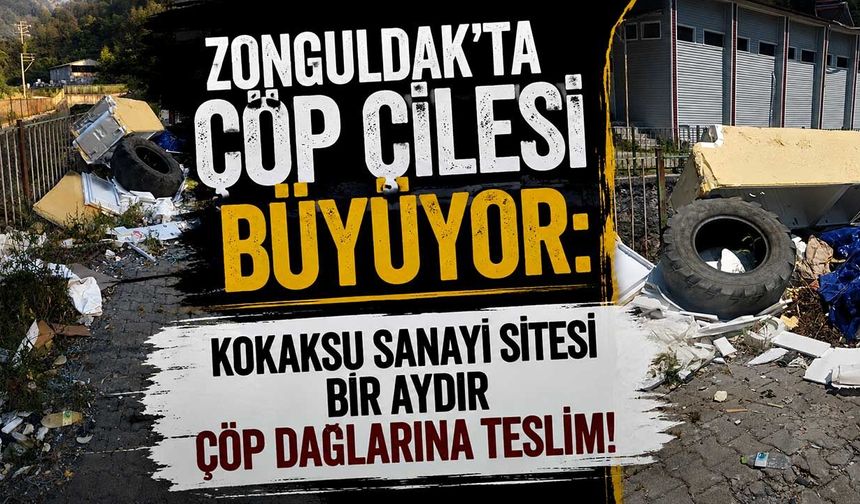 Zonguldak’ta çöp çilesi büyüyor: Kokaksu Sanayi Sitesi bir aydır çöp dağlarına teslim!