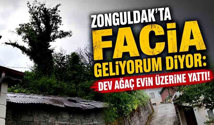Zonguldak’ta facia geliyorum diyor: Dev ağaç evin üzerine yattı!