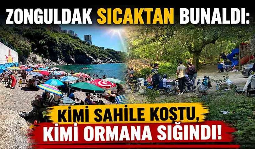 Zonguldak sıcaktan bunaldı: Kimi sahile koştu, kimi ormana sığındı!
