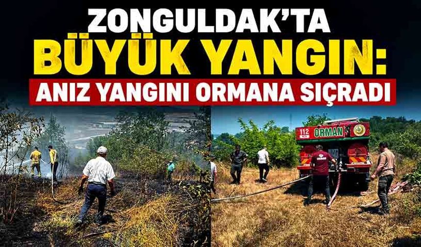Zonguldak'ta büyük yangın: Anız yangını ormana sıçradı