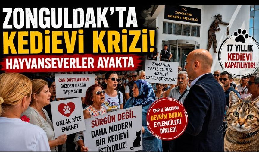 Zonguldak'ta kedievi krizi! Hayvanseverler ayakta