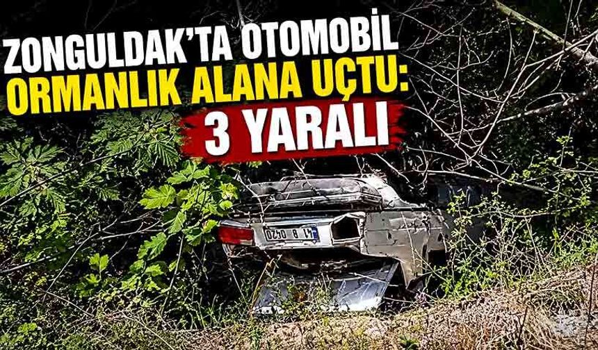 Zonguldak’ta otomobil ormanlık alana uçtu: 3 yaralı