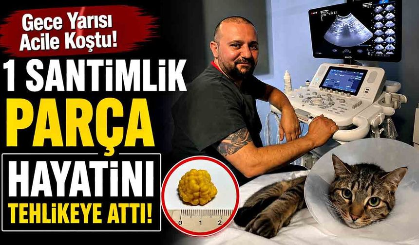 Gece Yarısı Acile Koştu! 1 Santimlik Parça Hayatını Tehlikeye Attı