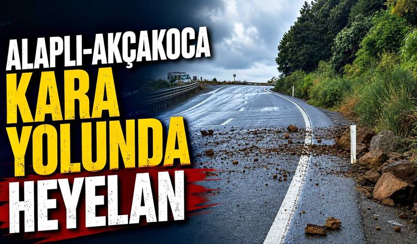 Alaplı-Akçakoca kara yolunda heyelan