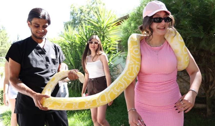 Antalya Doğal Yaşam Parkı'nda 5 farklı türe ait 28 yılan ilgi odağı oldu