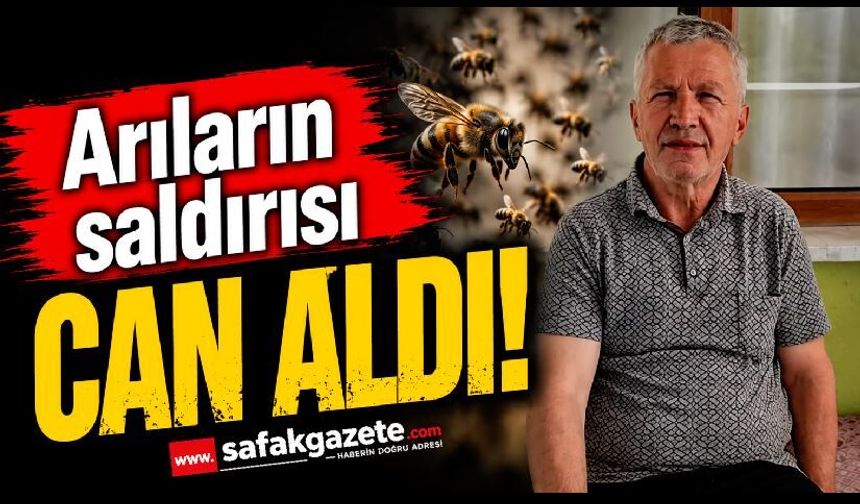 Bal arıları can aldı! Yaşlı adam kurtarılamadı