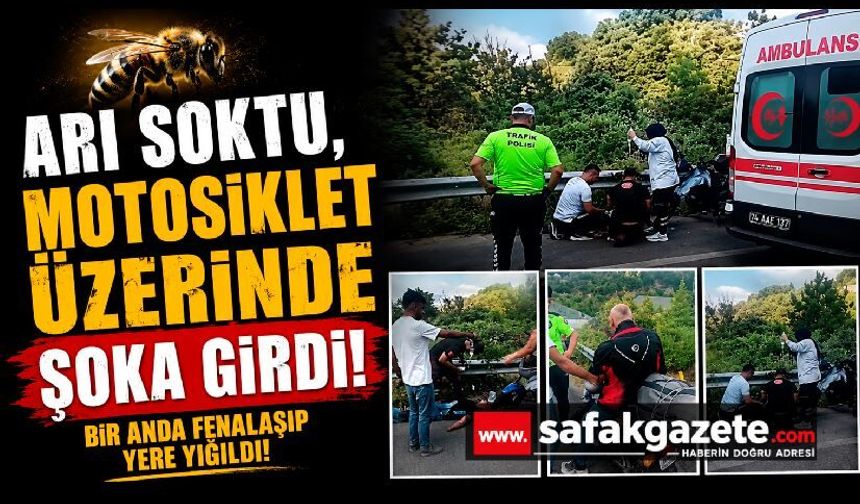 Seyir Halindeyken Arı Soktu! Motosiklet Sürücüsü Şoka Girdi