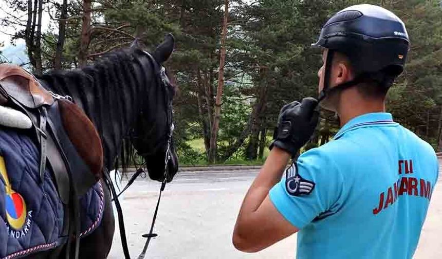 Atlı jandarma timleri, devriye faaliyetlerine başladı