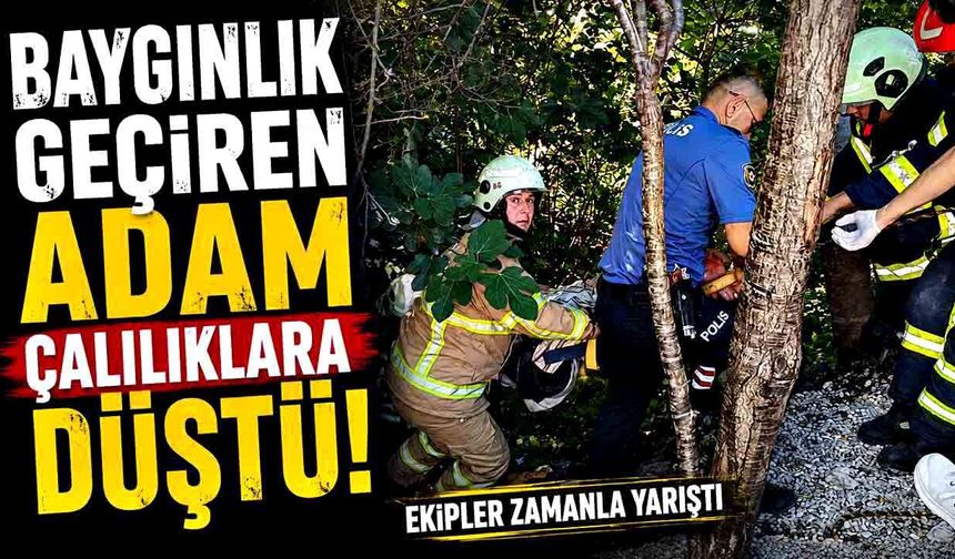Baygınlık geçiren yaşlı adam çalılıklara düştü