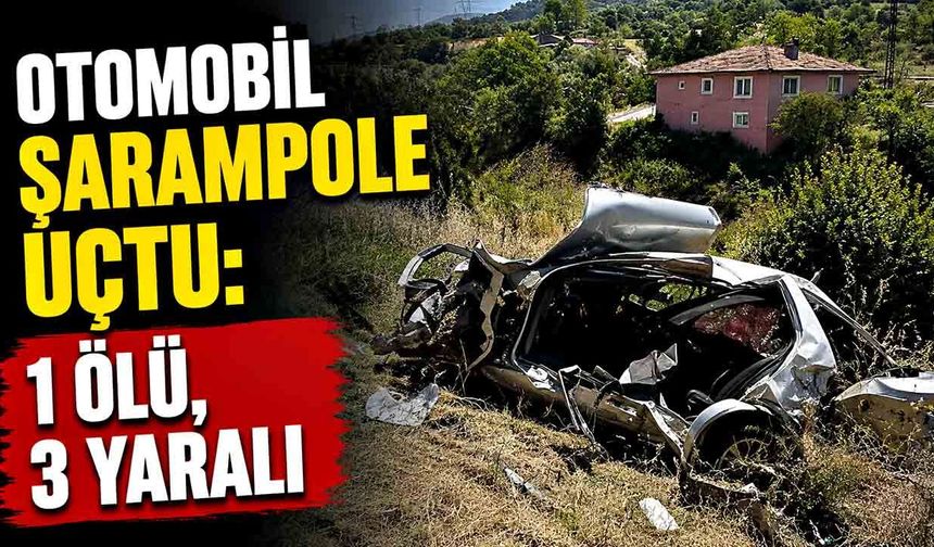 Otomobil şarampole uçtu; Sürücü öldü, 3 yaralı