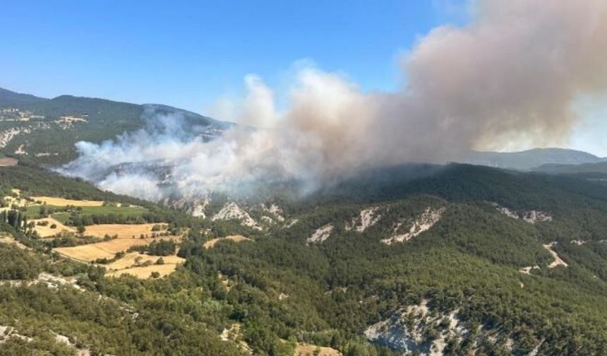 Bolu'da ormanlara giriş 30 Eylül'e kadar yasaklandı