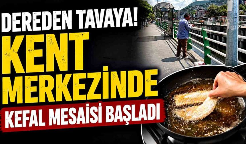 Zonguldak'ta dereyi kefal bastı, oltasını kapan koştu