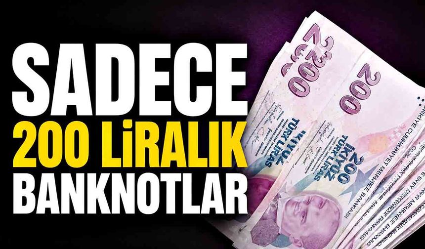 Sadece 200 liralık banknotlar