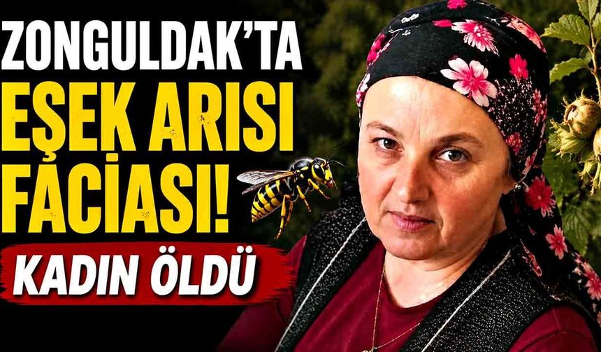 Zonguldak'ta eşek arısının soktuğu kadın öldü
