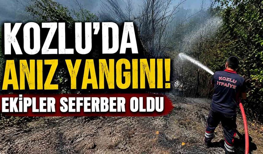 Kozlu’da anız yangını! Ekipler seferber oldu