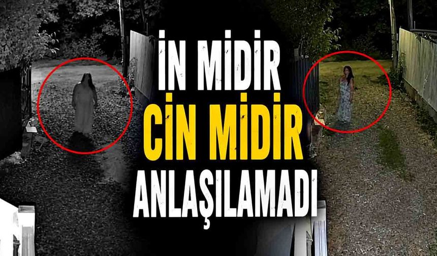 İn midir Cin midir anlaşılamadı