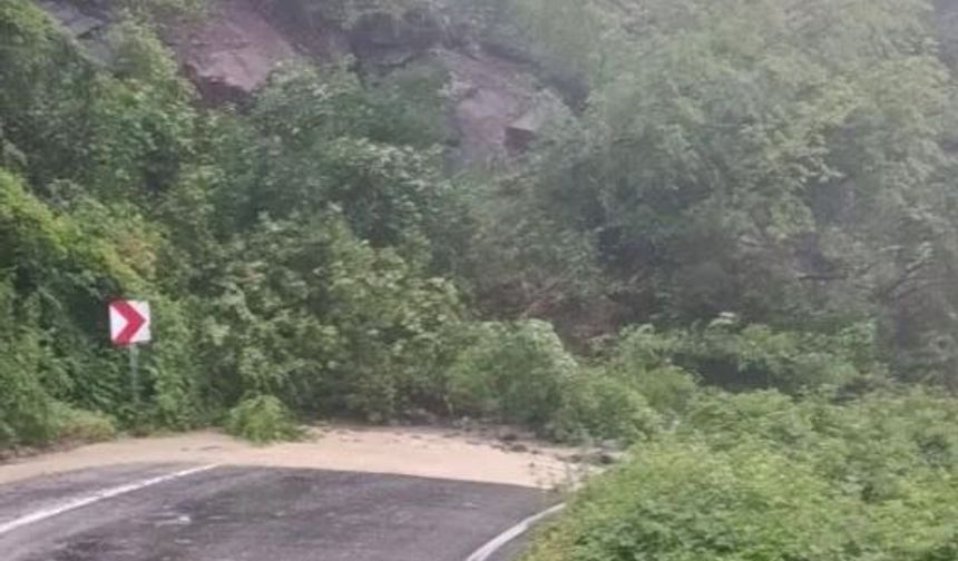 Cide-Doğanyurt yolu ulaşıma açıldı