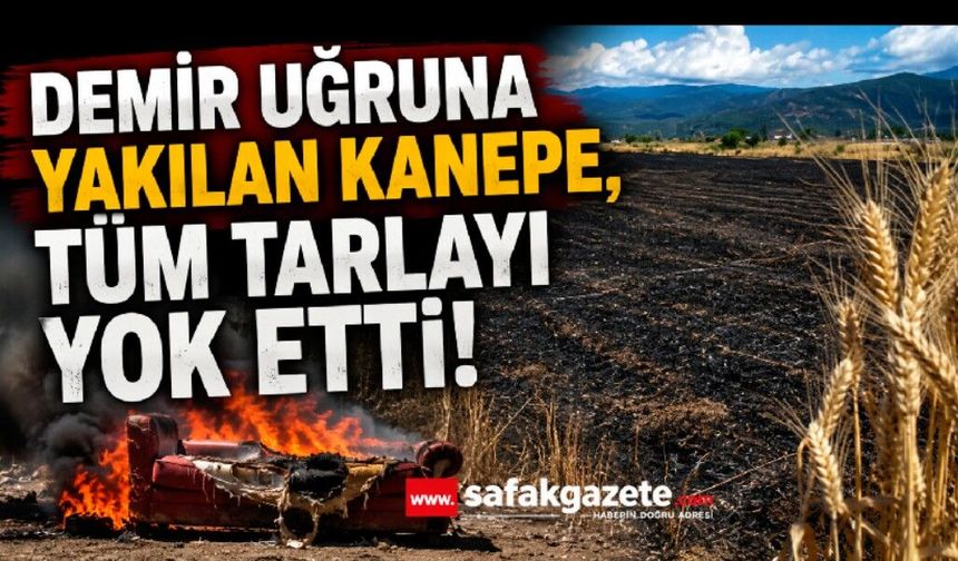 Demirini satmak için yaktıkları kanepe, 10 dönümlük tarlayı küle çevirdi