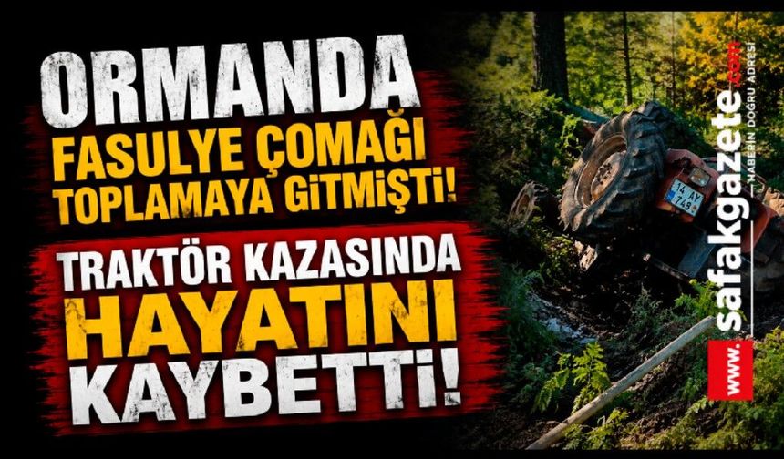 Ormana fasulye çomağı toplamaya gitmişti: Traktör kazasında öldüğü ortaya çıktı