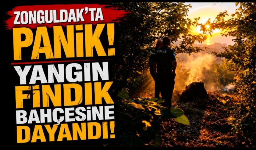 Zonguldak'ta Panik! Yangın Fındık Bahçesine Dayandı